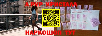 сатива Новозыбков