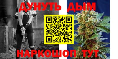 сатива Новозыбков